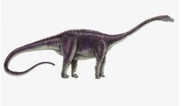 网红吃瓜恐龙图片大全,网红吃瓜恐龙萌态大盘点